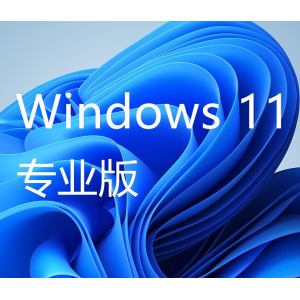 Microsoft Windows 11